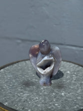 Load image into Gallery viewer, Crystal Collection