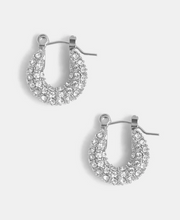 Load image into Gallery viewer, Audrey Hoops