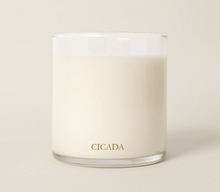 Load image into Gallery viewer, Cicada Desert Blossoms Candle