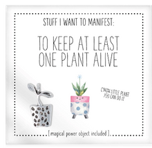 Load image into Gallery viewer, Stuff I Want To Manifest Charms