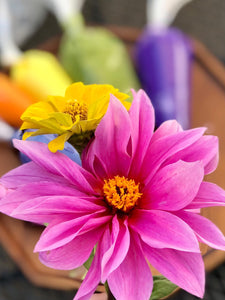 Fun with Fall Colors and Florals Cupcake Decorating Class- September 9th
