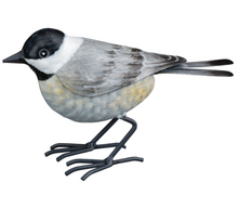 Load image into Gallery viewer, Bird Decor
