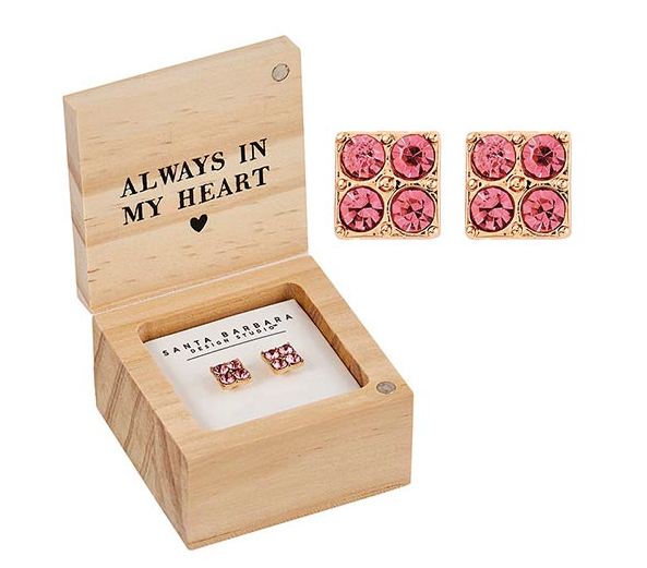 Earring Treasure Box