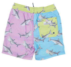 Shark Block Shorts