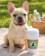 Load image into Gallery viewer, Starbarks Coffee Cup Plush Dog Toy by Haute Diggity Dog
