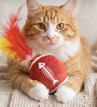 Load image into Gallery viewer, Kitty Era Tour Organic Catnip by Haute Diggity Dog
