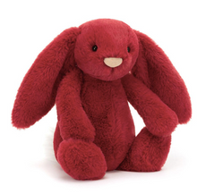 Load image into Gallery viewer, Jellycat Bunny
