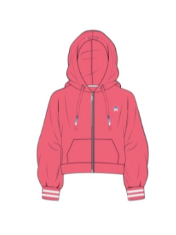 PJ Salvage American Honey Hoodie