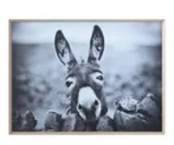 Framed Canvas Wall Decor with Donkey