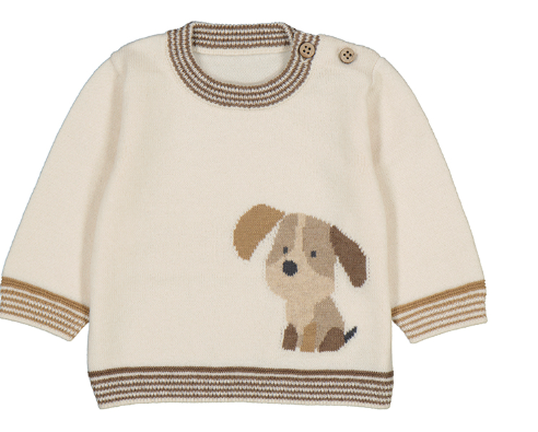 Puppy Sweater