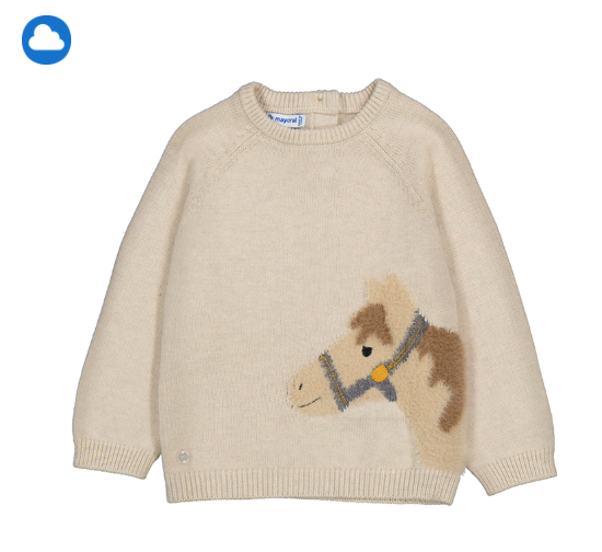 Horse Sweater