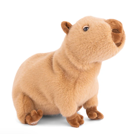 Theo the Capybara
