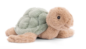 Baby Sandy the Turtle
