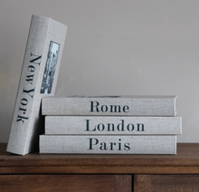 Load image into Gallery viewer, City Storage Books
