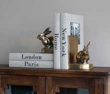 Load image into Gallery viewer, City Storage Books
