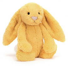 Load image into Gallery viewer, Jellycat Spring Bunnies
