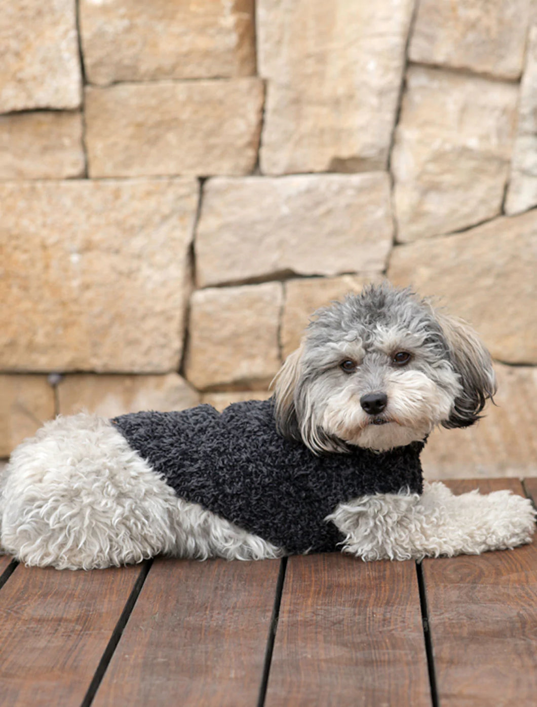 CozyChic Ribbed Pet Sweater